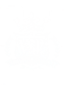 Vsr Transportation Inc logo