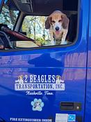 2 Beagles Transportation Inc logo